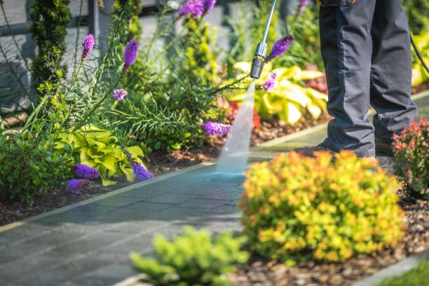 Best Sidewalk and Walkway Cleaning  in West Mifflin, PA